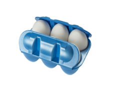 Estuche para 6 huevos