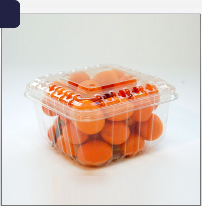 Pote plástico m2981-100 - Imagen 2