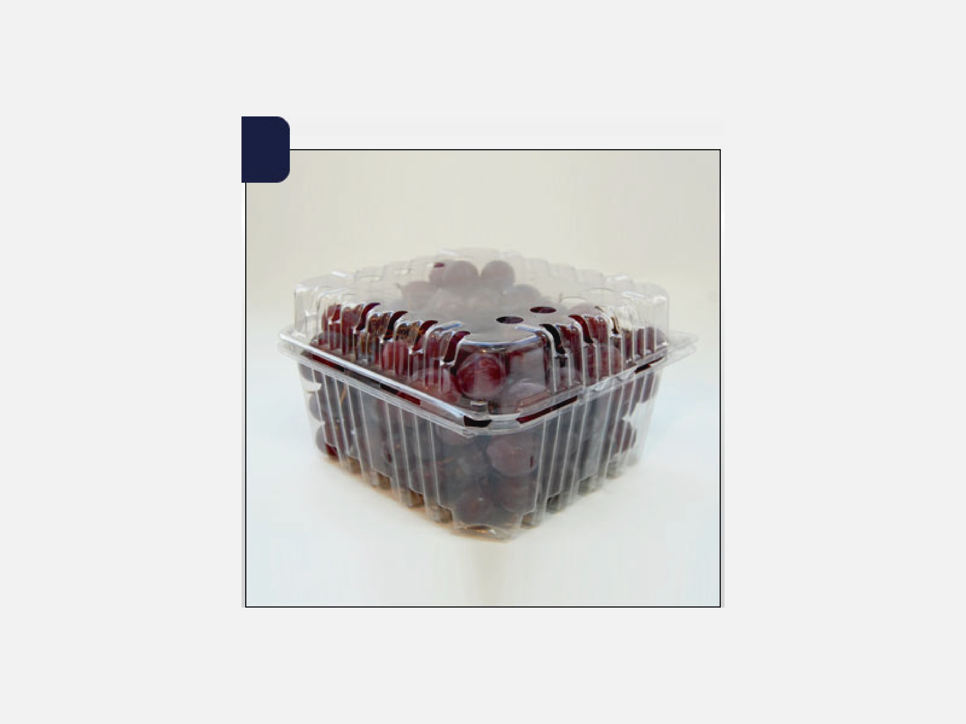 Pote plástico M5014-100