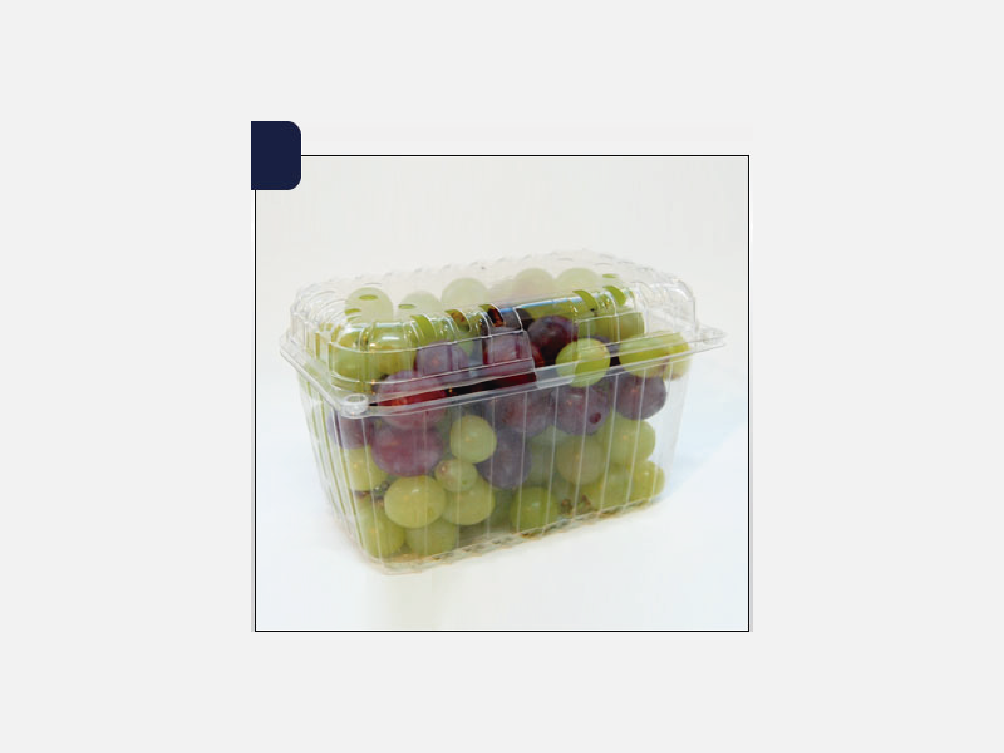 Pote Plástico 4212/13/14-100